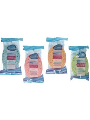 Calypso Spons assorti
