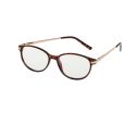 Spectrum Computerbril Vlam Assorti