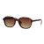 Spectrum Zonnebril Tortoise Bruin Glas Unisex