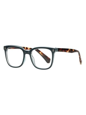 Spectrum Leesbril Blauw/Havana Assorti